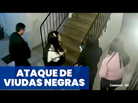 NUEVO ATAQUE DE VIUDAS NEGRAS: sedujeron y drogaron a dos turistas