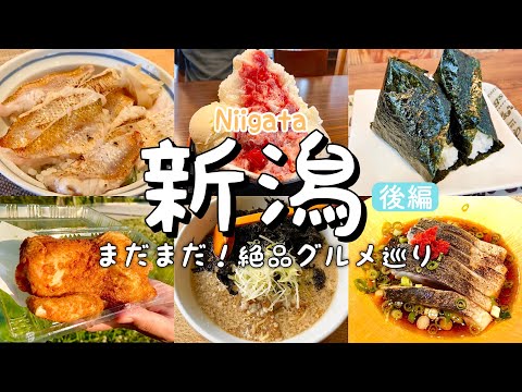 【新潟絶品グルメ/後編】食べ歩き旅！炙りのどぐろ丼&しめ鯖inせかい鮨/鶏の半身揚げinせきとり/燕三条で背脂ラーメン/かき氷スイーツ/日本酒飲み比べ/おにぎりなど