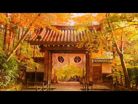 2011 京都自由eye旅行攝