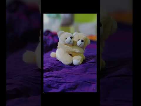 cut teddy bear ❤️❤️and teddy family 💞💞💞 Teddy couple 😊 subscribe comment like share 🩷🩷