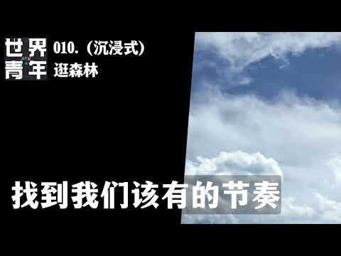 010.（沉浸式）逛森林，找到我们该有的节奏