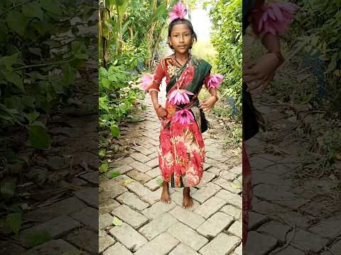 Adivasi jungle। Sona Piya dance #trending #adivasidance #tiktok #shortsfeed