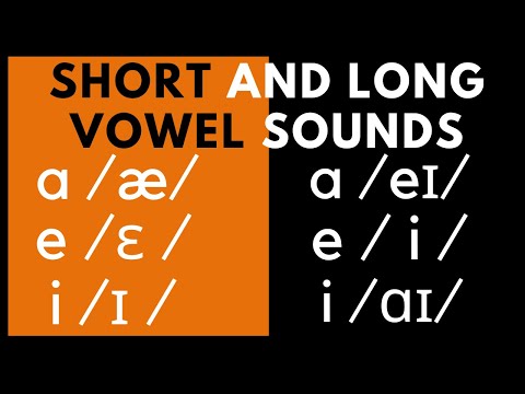 How to teach long and short vowels | to kids | Using phonics A E I O U Learn English grammar for kid