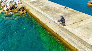 This breakwater has too many fish. Sea urchin is the best bait.