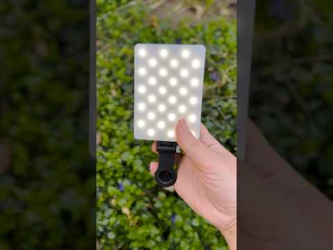 Can Alix Earle’s light really help you take better selfies? #alixearleeffect #phonelight