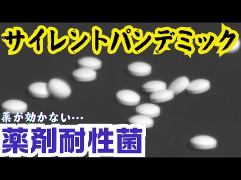 薬が効かない耐性菌が静かに拡大　「サイレントパンデミック」2050年にはがん死者を超える恐れ（2024.7.29放送）#医療