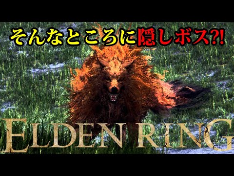 【エルデンリング】そんなところに?!隠しボス探索（リムグレイブ ～ シーフラ河） #ELDENRING