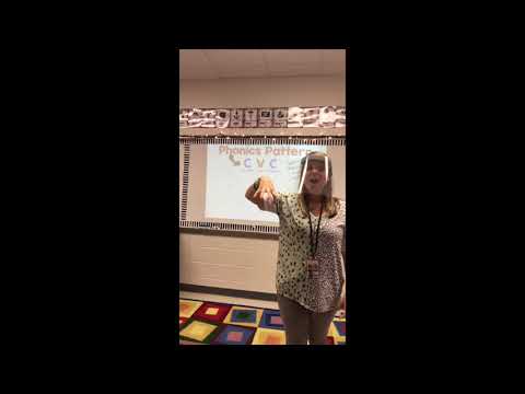 Unit 1 Week 1 ELA Phonics and Grammar Lesson Day 1