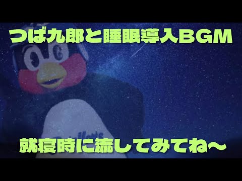 睡眠用BGM【つば九郎が深い眠りに誘います】