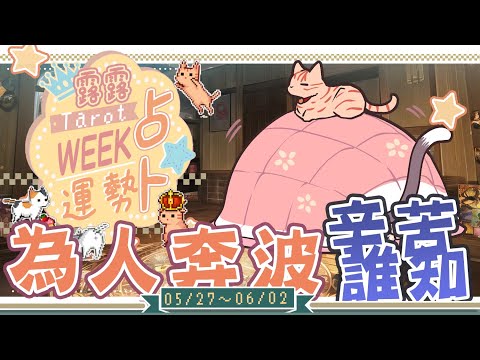 【一周運勢】為誰辛苦為誰忙★ 未來一周運勢與週間報告。【塔羅占卜】【櫻野露】