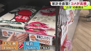 外食産業の需要増も一因…主食『米』にも価格高騰の波 23年の猛暑による“米不足”で一部は仕入れ困難に