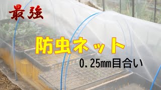 最強の防虫ネット！目合0.25mmで秋冬野菜を完全防御！