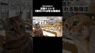 学年1位が教える誰でも定期テストで5教科490点取る方法。#勉強  #定期テスト