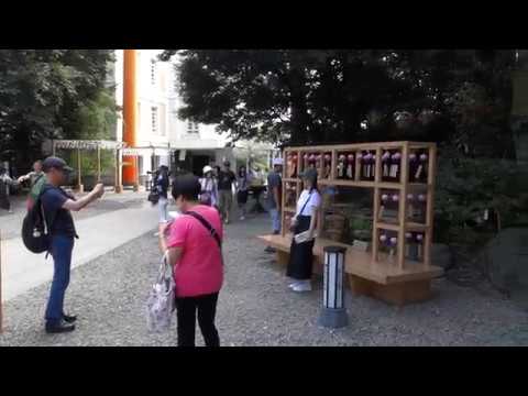 氷川神社(冰川神社)