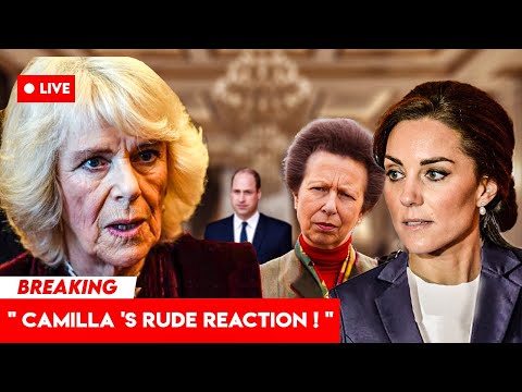 Catherine and Princess Anne Shocked by Queen Camilla’s RUDE Words Over William’s Monarchy Plan