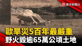 歐旱災5百年最嚴重 野火毀逾65萬公頃土地 @globalnewstw