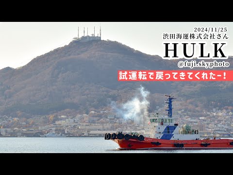 HULKが戻ってきてくれた❣️【1分】2024/11/25