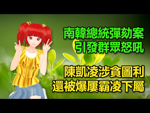 南韓總統彈劾案引發群眾怒吼，叫議員滾回去投票｜陳凱凌涉貪圖利，還被爆屢霸凌下屬？🍓20241207 #高雄林小姐 #Vtuber​​​​ #台灣Vtuber​​​ #台V