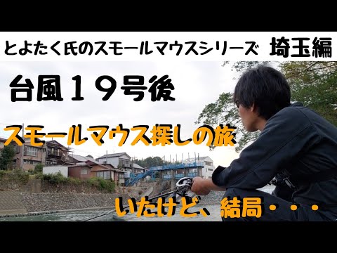 【川スモールマウスバス　シリーズ②】　台風１９号後川スモールマウスバス　埼玉遠征編　smallmouth bass