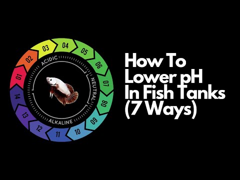 How to Lower pH Levels in Aquariums (EASY METHOD)