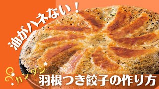 簡単すぎた！「大阪王将 羽根つき餃子」の美味しい焼き方！