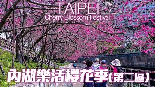 Taipei Cherry Blossom Festival 2024｜4K HDR｜台北內湖樂活櫻花季(第二區)