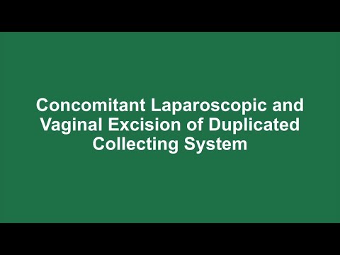 Concomitant laparoscopic and vaginal excision of duplicated collecting system