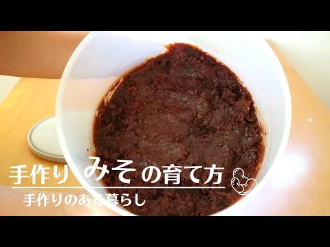 手作りみそ。カビのお世話と保存。できあがりはこんな感じ。