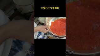 红宝石三文鱼鱼籽 #刺身美食 #三文鱼