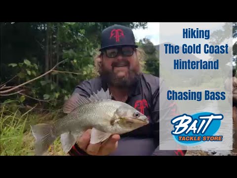 Hiking The Gold Coast Hinterland Chasing Bass