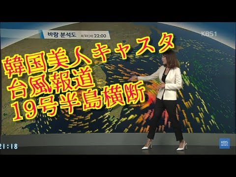 韓国美人キャスター台風１９号報道　日本大きい