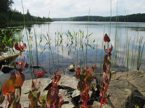 Just a Short Stroll at Depot Lake