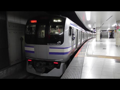 【横須賀線】E217系Y-2編成　東京・戸塚・逗子・東戸塚　2022.10月〜12月撮影