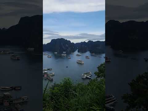 TITOP ISLAND VIEW IN HALONG BAY VIETNAM #panoramicview #titopisland #vietnam #halongbaytour