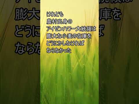 この時「日本農業衰退の基礎」が作られた　#米 #令和の米騒動 #米騒動 #米不足 #農業  #お金