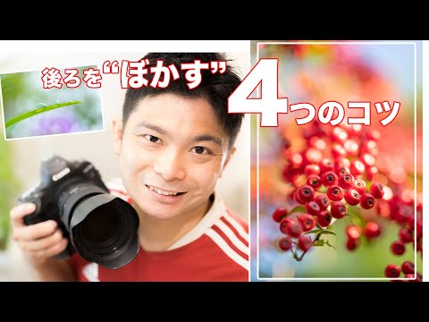 一眼レフカメラ初心者必見！きれいにぼけた写真を撮ろう！あなたはちゃんとぼかせる？