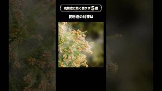 【花粉症に効果絶大】最強の対策5選