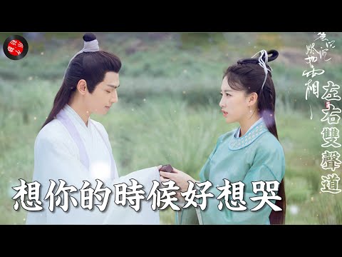 （很好聽）💖歌曲【想你的時候好想哭】冷雨 💖失去了你也失去了幸福/（左右雙音軌）/想KTV伴唱的請切換到右音軌/