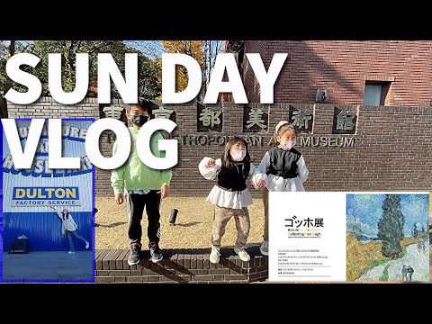 Normal Day Vlog