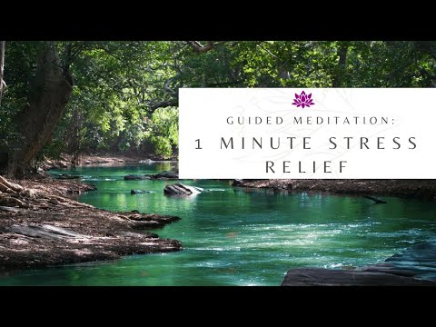 Guided Meditation 1 Minute Stress Relief SOS - Minfulness Meditation