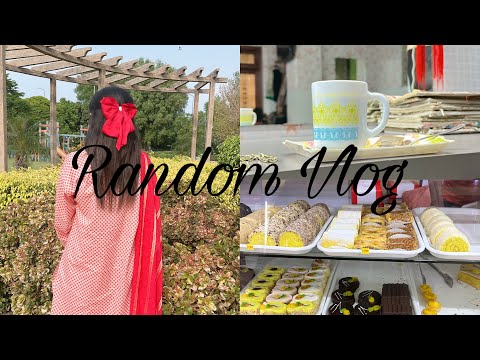 Random Vlog|Home Shopping|Grocery|Lemon Rolls|Moon Market Lahore|DHA