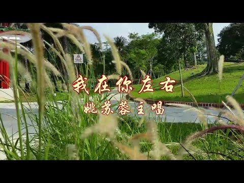 我在你左右~姚苏蓉主唱☆一曲陪伴你左右!