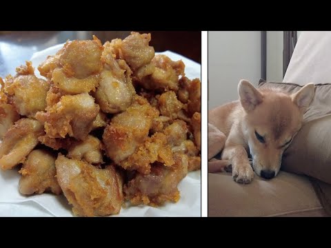 伝説の唐揚げと昼寝柴犬