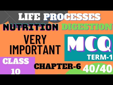 Life Processes Class 10 MCQ | Ch 6 Class 10 MCQ | Nutrition & Digestion Based MCQ by Fraz Khan