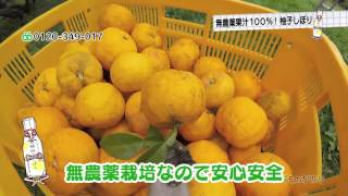 食べものがたり　第38回　「柚子しぼり」