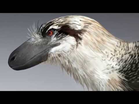 Paleo Profile - Dakotaraptor