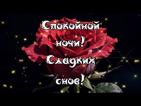 Спокойной ночи! Пусть снятся цветные сны! Открытка с пожеланием Спокойной ночи!