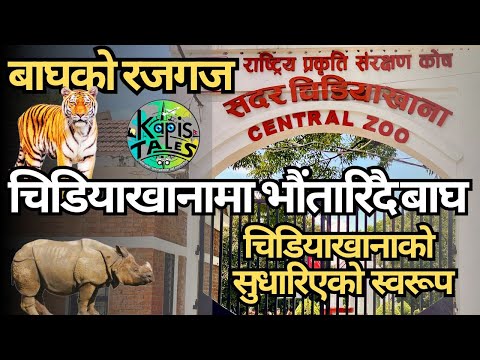 Central Zoo | सदर चिडियाखाना @KapisTales