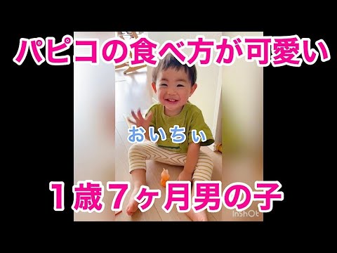 パピコを食べた１歳７ヶ月のリアクションが…！！！#shorts