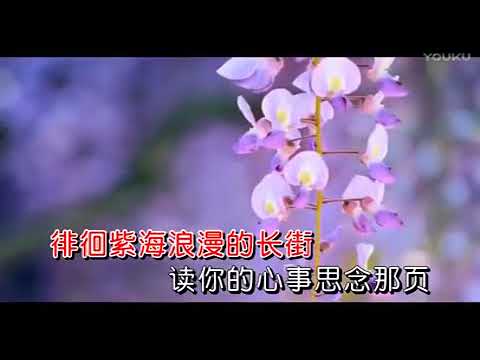 紫藤花开 ~ 陈瑞 (MV)